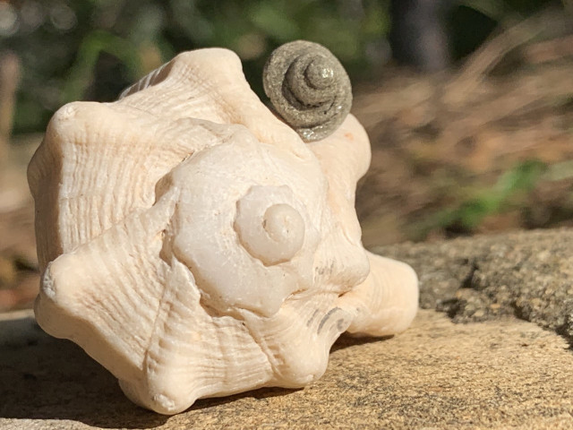 Музей бетона - Музей бетона